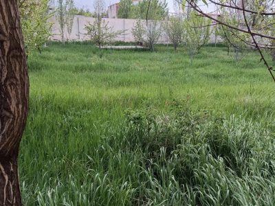 باغ ویلای دوبلکس 1040 متری با فضای دلنشین در زین آباد-ایوند 3 باغ ویلای دوبلکس 1040 متری با فضای دلنشین در ایوند