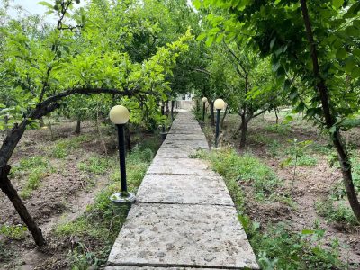 باغ ویلای 1850 متری سند تک برگ در قرمزی گل آذر شهر 6 باغ ویلای 1850 متری سند تک برگ در قرمزی گل آذر شهر