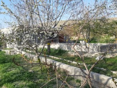 1750 متر باغ دارای آب چشمه و چاه در خسروشاه 4 1750 متر باغ دارای آب چشمه و چاه در خسروشاه