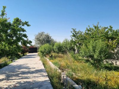 باغ ویلای 1460 متری سند تک برگ در خسروشاه