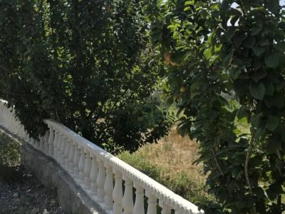 باغ‌ویلای 1000 متری نما رومی در بنگین