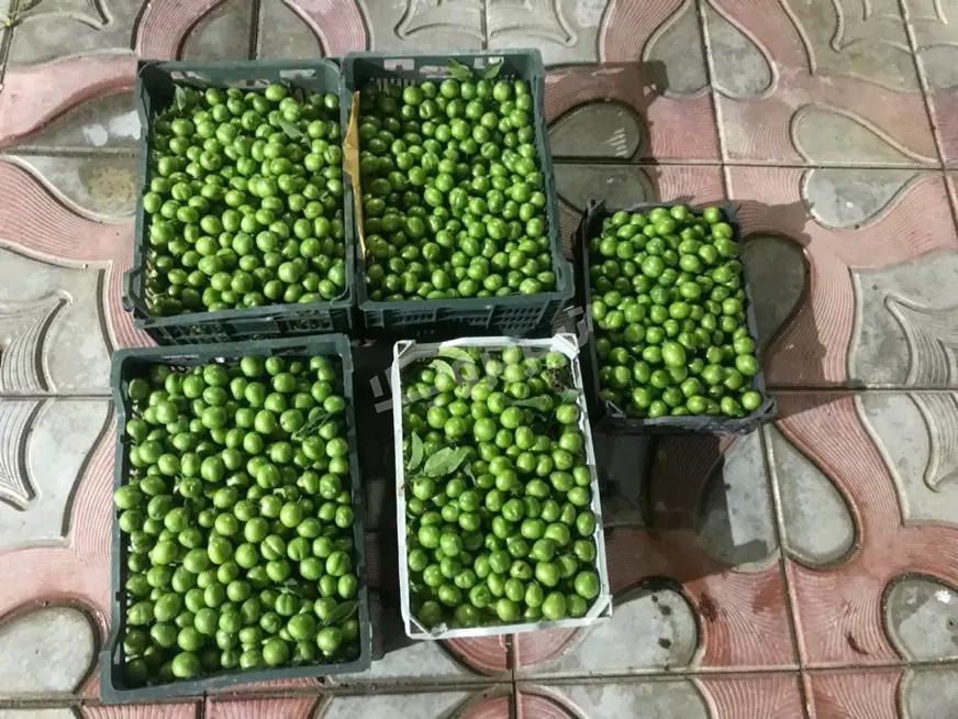 باغ 400 متری با 30 اصله درخت بارده در باغمعروف