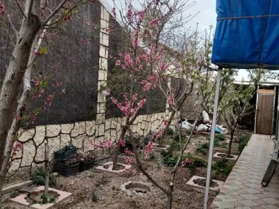 ویلا 600 متری انشعابات تکمیل در خواجه مرجان