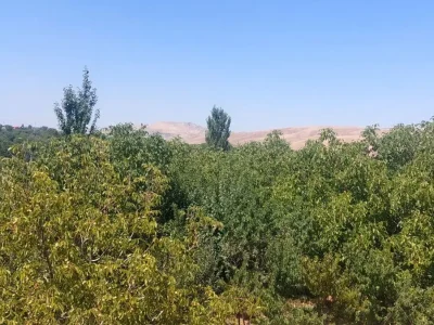 قطعه باغ 7500 دارای حق آبه در سیوان 10 قطعه باغ 7500 دارای حق آبه در سیوان