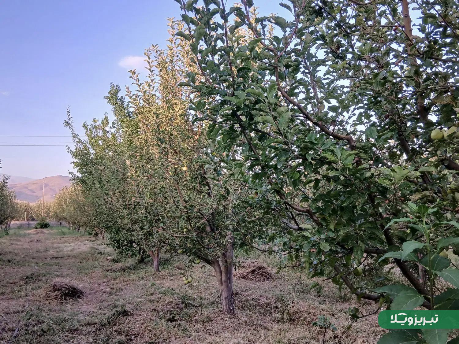 باغ 2400 متری فول امکانات و انشعابات تکمیل در گرنگاه