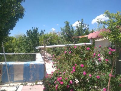 600 متر باغ ویلا دارای درختان بارده در باغ معروف 3 600 متر باغ ویلا دارای درختان بارده در باغ معروف