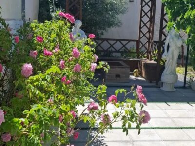 320 متر باغ ویلای نقلی محوطه سازی شده در تازه کند
