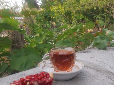 500 متر باغ ویلا مجهز به سیستم گرمایش در لاهیجان 3 500 متر باغ ویلا مجهز به سیستم گرمایش در لاهیجان