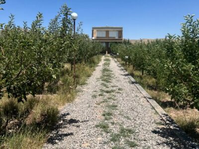 2300 متر باغ ویلا با 200 عدد درخت بارده در کرگان 6 2300 متر باغ ویلا با 200 عدد درخت بارده در کرگان
